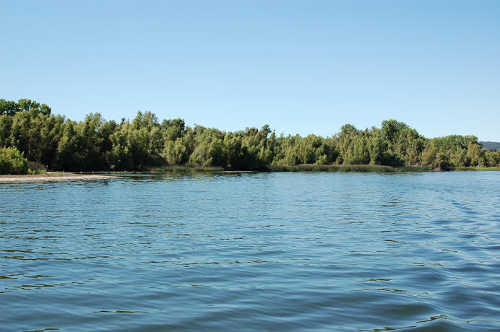 bigvalleywetlands